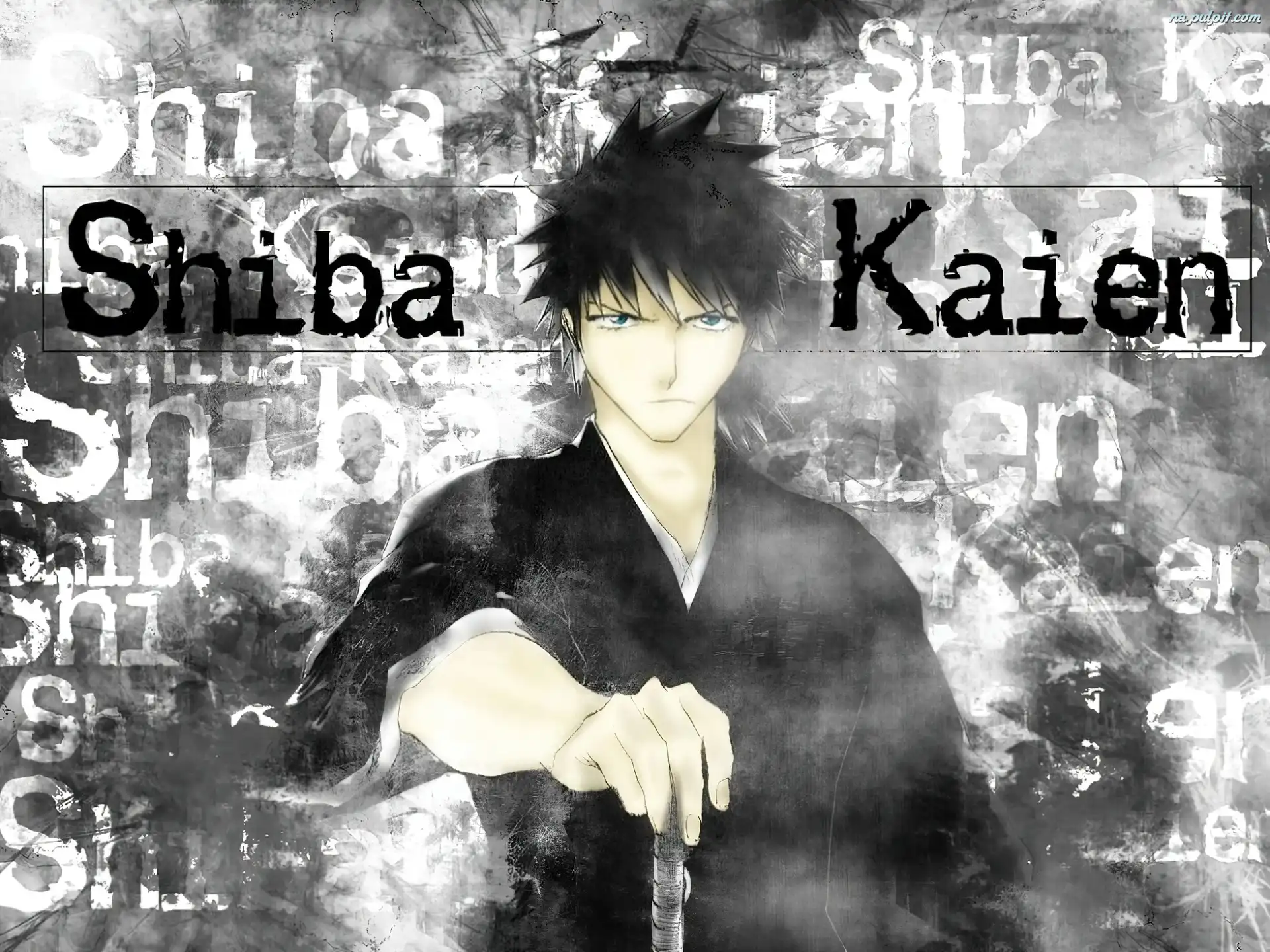 Bleach Kaien Rukia